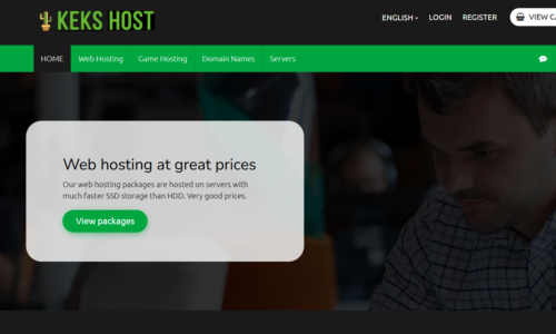 Your Ultimate Destination for High-Performance Game Server Hosting